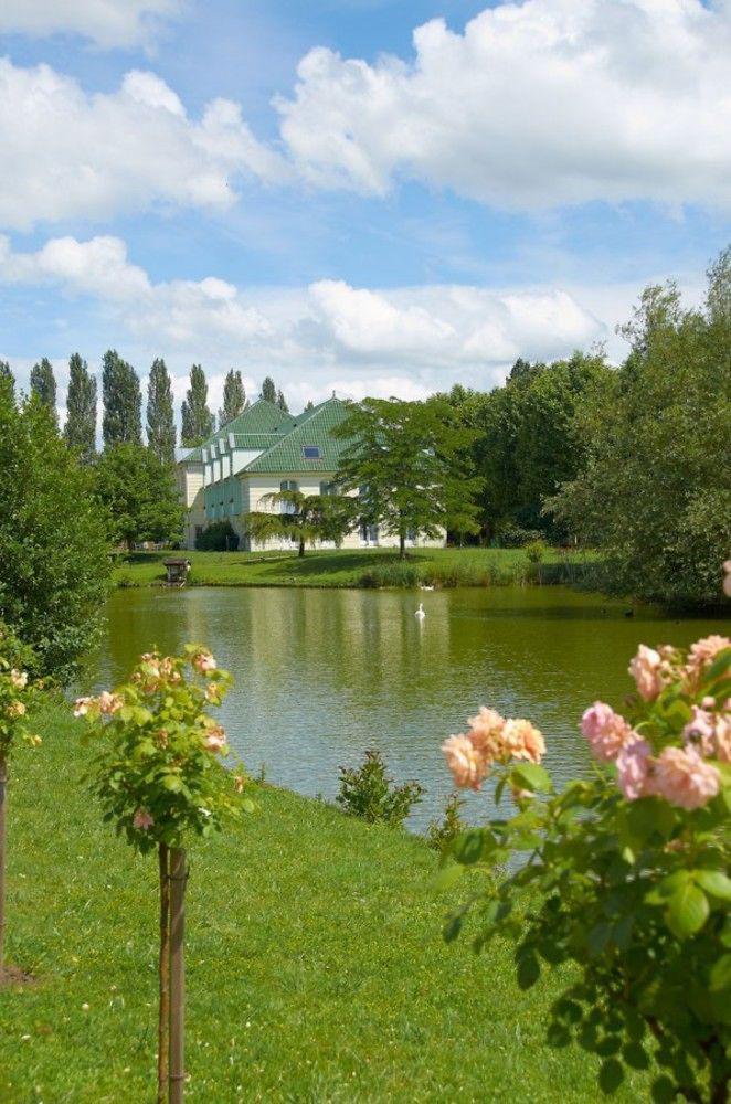 Hotel Restaurant Le Rive Gauche Joigny Bagian luar foto